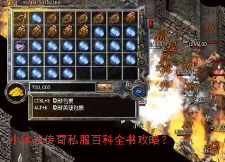 小冰冰传奇私服百科全书攻略? 小冰冰传奇私服百科全书攻略?