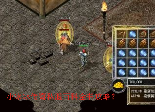 小冰冰传奇私服百科全书攻略? 小冰冰传奇私服百科全书攻略?