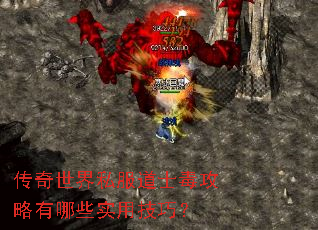 传奇世界私服道士毒攻略有哪些实用技巧? 传奇世界私服道士毒攻略有哪些实用技巧?