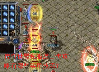 传奇世界私服道士毒攻略有哪些实用技巧? 传奇世界私服道士毒攻略有哪些实用技巧?