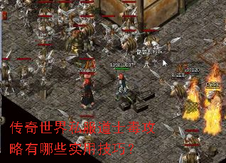 传奇世界私服道士毒攻略有哪些实用技巧? 传奇世界私服道士毒攻略有哪些实用技巧?