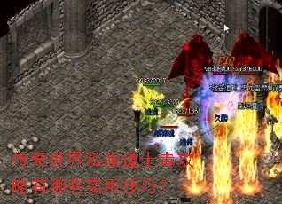 传奇世界私服道士毒攻略有哪些实用技巧? 传奇世界私服道士毒攻略有哪些实用技巧?