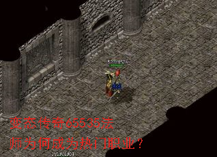 变态传奇65535法师为何成为热门职业? 变态传奇65535法师为何成为热门职业?
