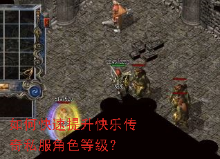 如何快速提升快乐传奇私服角色等级? 如何快速提升快乐传奇私服角色等级?