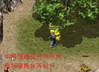 如何快速提升快乐传奇私服角色等级? 如何快速提升快乐传奇私服角色等级?