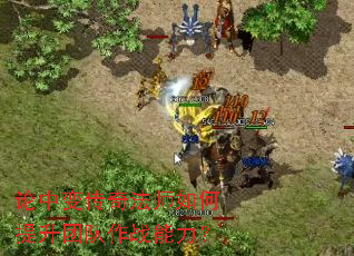 论中变传奇法师如何提升团队作战能力? 论中变传奇法师如何提升团队作战能力?
