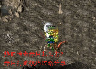 热血传奇赤月怎么去?赤月打狗技巧攻略分享 热血传奇赤月怎么去?赤月打狗技巧攻略分享