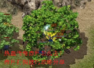 热血传奇赤月怎么去?赤月打狗技巧攻略分享 热血传奇赤月怎么去?赤月打狗技巧攻略分享