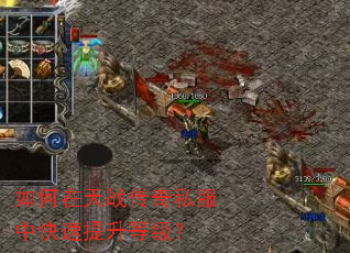如何在天战传奇私服中快速提升等级? 如何在天战传奇私服中快速提升等级?