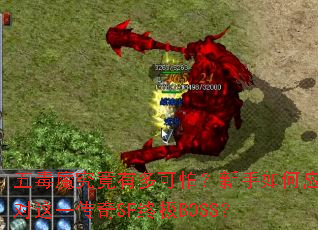 五毒魔究竟有多可怕?新手如何应对这一传奇SF终极BOSS? 五毒魔究竟有多可怕?新手如何应对这一传奇SF终极BOSS?