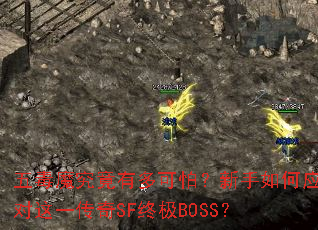 五毒魔究竟有多可怕?新手如何应对这一传奇SF终极BOSS? 五毒魔究竟有多可怕?新手如何应对这一传奇SF终极BOSS?