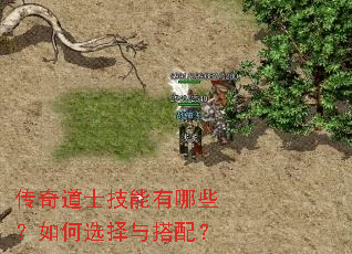 传奇道士技能有哪些?如何选择与搭配? 传奇道士技能有哪些?如何选择与搭配?