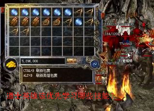 道士英雄该优先学习哪些技能? 道士英雄该优先学习哪些技能?