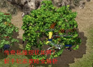 传奇私服现状如何?新手玩家攻略全解析 传奇私服现状如何?新手玩家攻略全解析