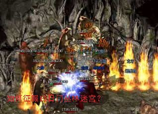 如何征服白日门丛林迷宫? 如何征服白日门丛林迷宫?