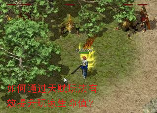 如何通过天赋玩法有效提升玩家生命值? 如何通过天赋玩法有效提升玩家生命值?