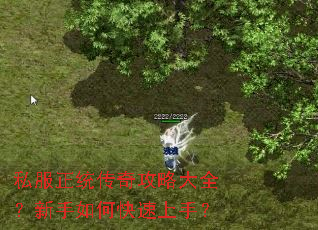 ˽����ͳ���湥�Դ�ȫ��������ο������֣�