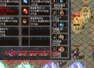 如何快速提升堕落传奇私服版角色等级? 如何快速提升堕落传奇私服版角色等级?