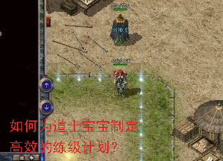 如何为道士宝宝制定高效的练级计划? 如何为道士宝宝制定高效的练级计划?