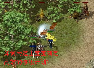 如何为道士宝宝制定高效的练级计划? 如何为道士宝宝制定高效的练级计划?