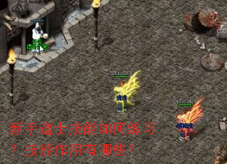 新手道士技能如何练习?技能作用有哪些? 新手道士技能如何练习?技能作用有哪些?