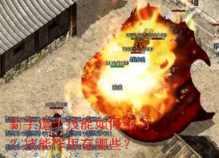 新手道士技能如何练习?技能作用有哪些? 新手道士技能如何练习?技能作用有哪些?