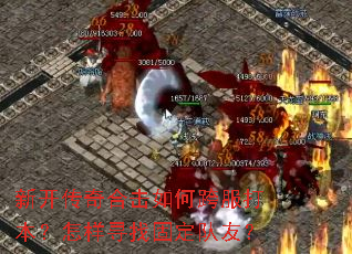 新开传奇合击如何跨服打本?怎样寻找固定队友? 新开传奇合击如何跨服打本?怎样寻找固定队友?