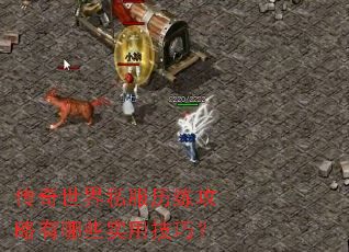 传奇世界私服历练攻略有哪些实用技巧? 传奇世界私服历练攻略有哪些实用技巧?