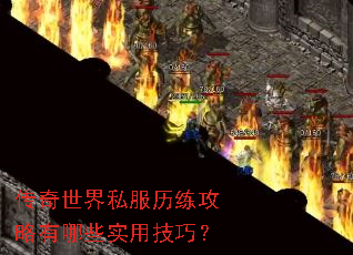 传奇世界私服历练攻略有哪些实用技巧? 传奇世界私服历练攻略有哪些实用技巧?