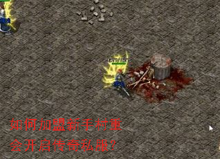 如何加盟新手村重会开启传奇私服? 如何加盟新手村重会开启传奇私服?