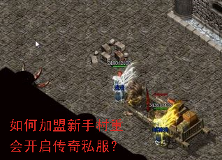 如何加盟新手村重会开启传奇私服? 如何加盟新手村重会开启传奇私服?