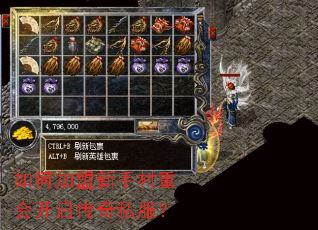 如何加盟新手村重会开启传奇私服? 如何加盟新手村重会开启传奇私服?