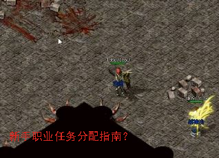 新手职业任务分配指南? 新手职业任务分配指南?