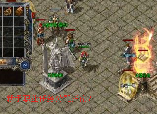 新手职业任务分配指南? 新手职业任务分配指南?