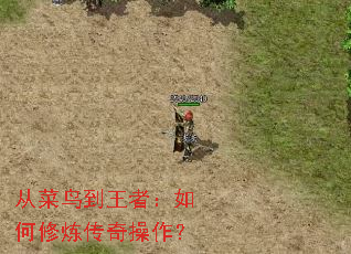 从菜鸟到王者:如何修炼传奇操作? 从菜鸟到王者:如何修炼传奇操作?