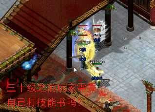 三十级之前玩家需要自己打技能书吗? 三十级之前玩家需要自己打技能书吗?