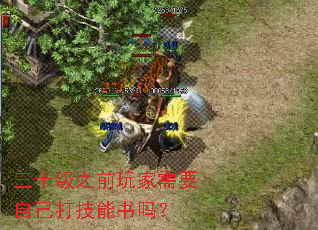 三十级之前玩家需要自己打技能书吗? 三十级之前玩家需要自己打技能书吗?