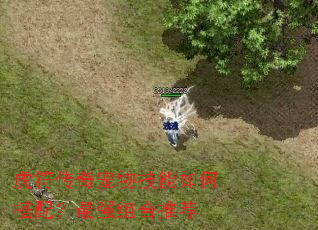 虎符传奇宠物技能如何搭配?最强组合推荐 虎符传奇宠物技能如何搭配?最强组合推荐