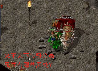 火王天下传奇会员属性有哪些用处? 火王天下传奇会员属性有哪些用处?