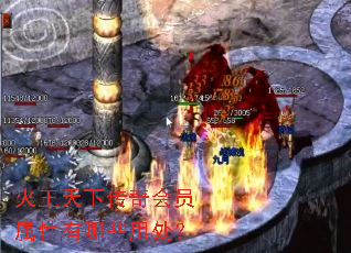 火王天下传奇会员属性有哪些用处? 火王天下传奇会员属性有哪些用处?