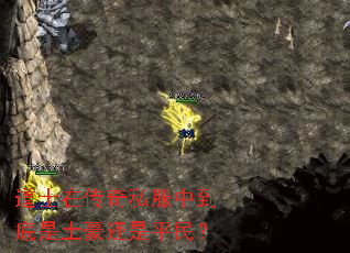 ��ʿ�ڴ���˽���е�������������ƽ��