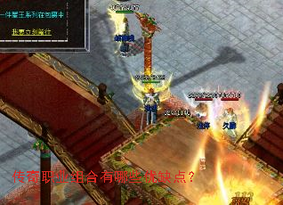 ����ְҵ�������Щ��ȱ�㣿