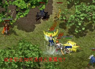 սʿְҵ���ѡ��Ԫ�����ԣ�