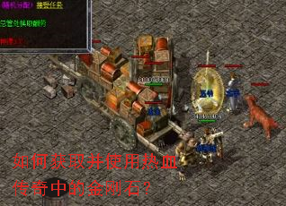 ��λ�ȡ��ʹ����Ѫ�����еĽ��ʯ��