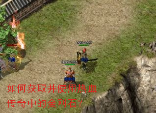 ��λ�ȡ��ʹ����Ѫ�����еĽ��ʯ��