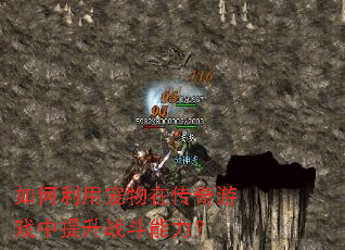 ������ó����ڴ�����Ϸ������ս��������