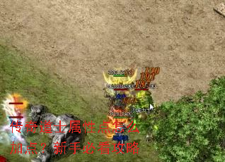 �����ʿ���Ե���ô�ӵ㣿���ֱؿ�����