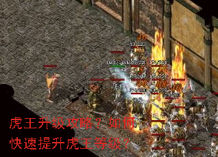 �����������ԣ���ο������������ȼ���