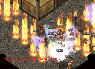 �����¹�����ο���������