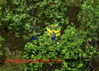 �����¹�����ο���������